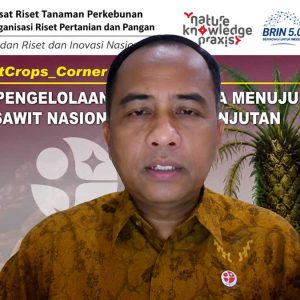 InfoSAWIT