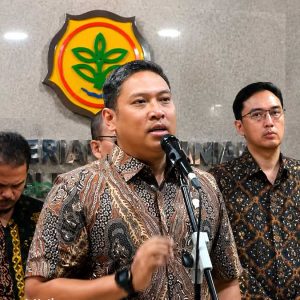 InfoSAWIT