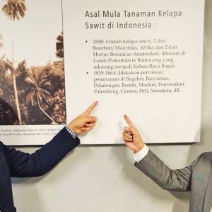 InfoSAWIT