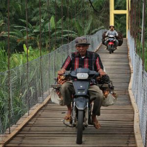 InfoSAWIT