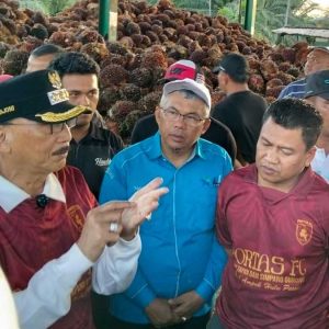 InfoSAWIT