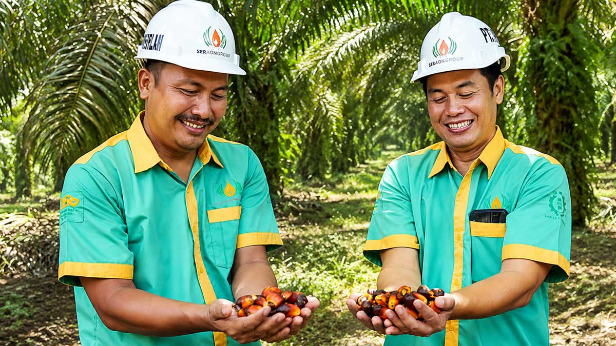 STAA-RSPO InfoSAWIT