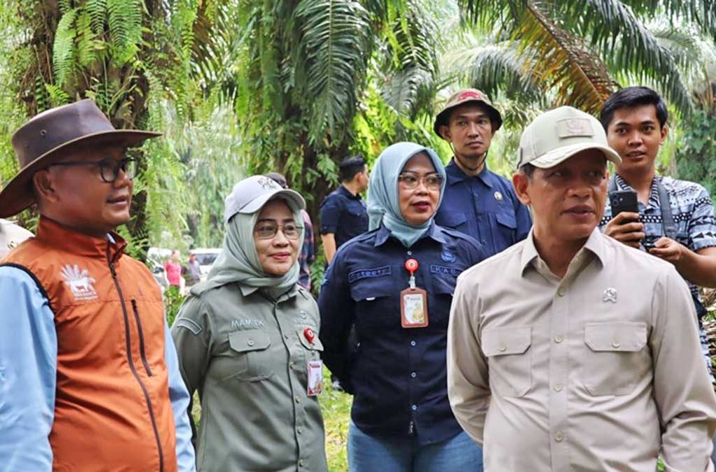 InfoSAWIT