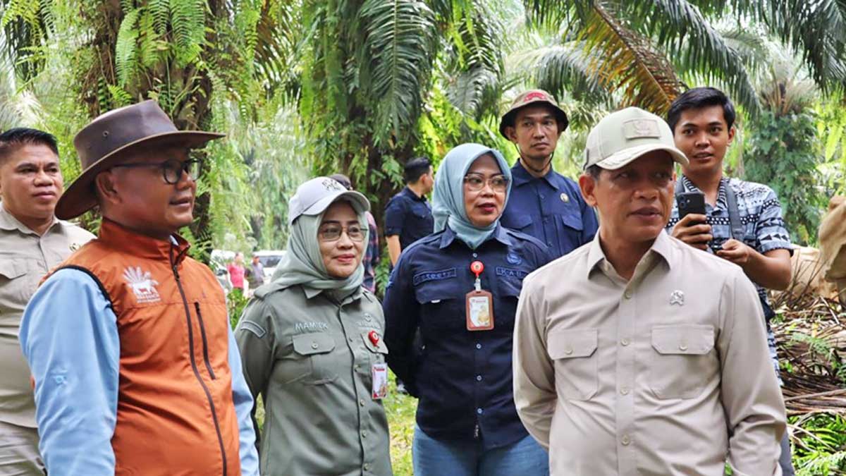 InfoSAWIT