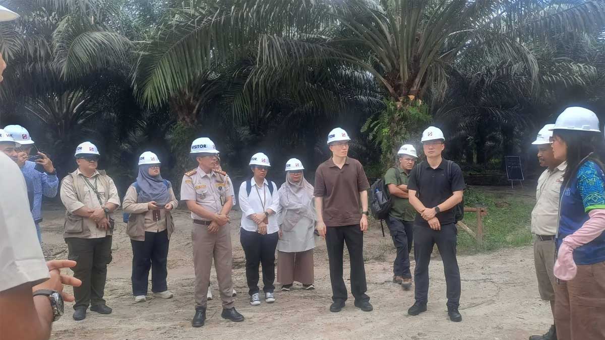 GACC-Audit-di-Riau InfoSAWIT