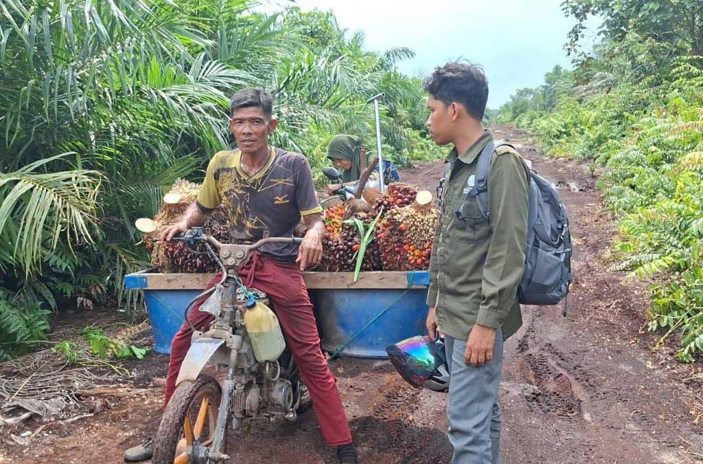 InfoSAWIT