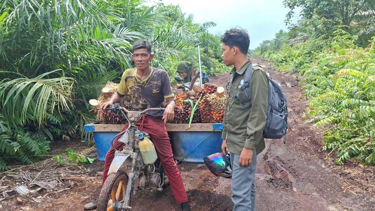 InfoSAWIT