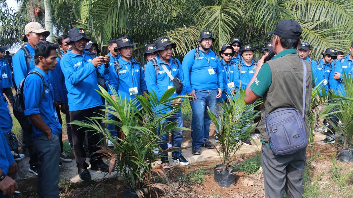 IPB-Training-OKI-2026 InfoSAWIT