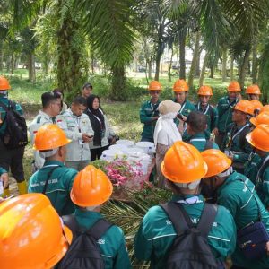 InfoSAWT