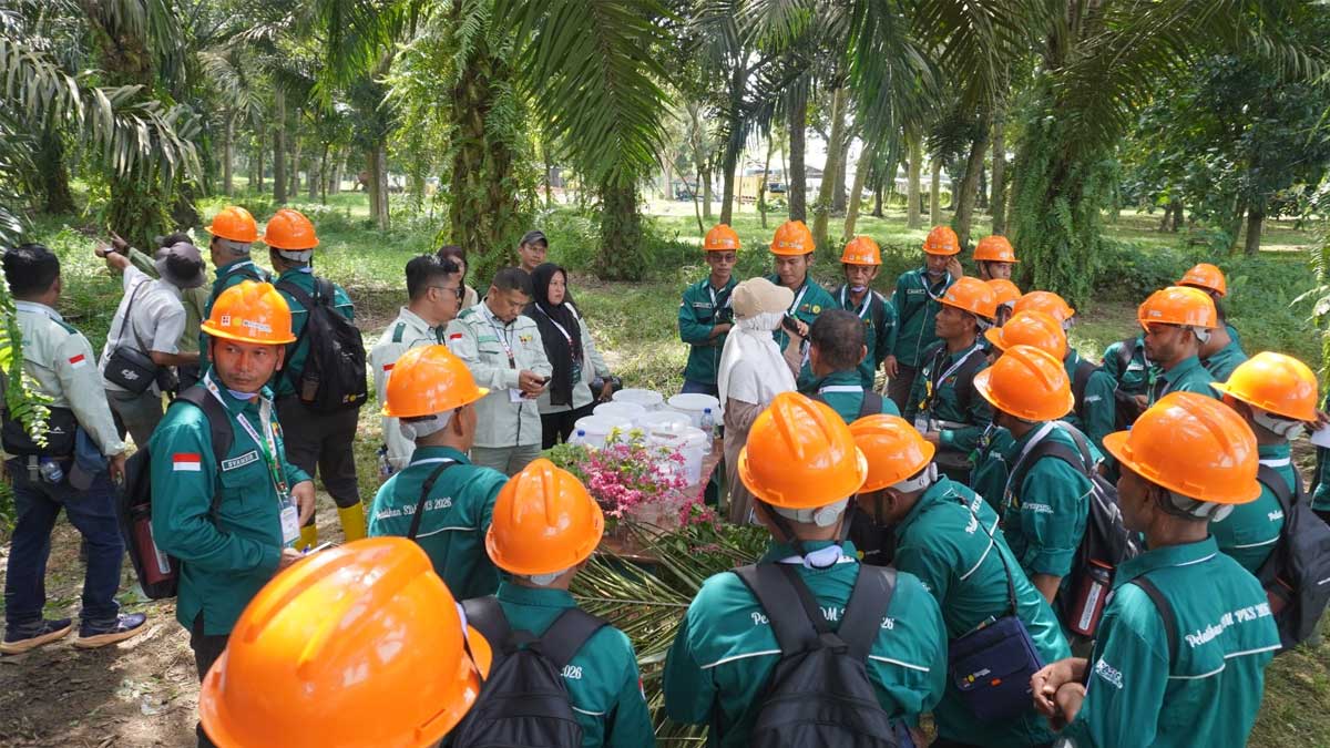 InfoSAWT