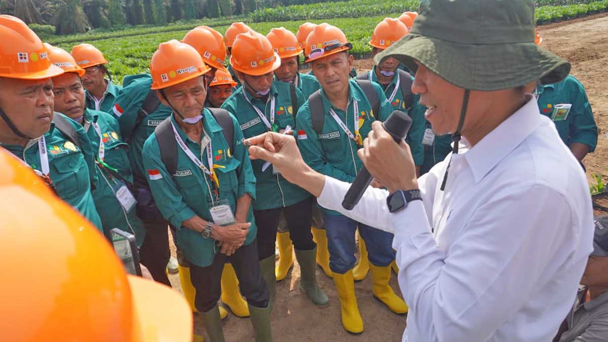 InfoSAWIT