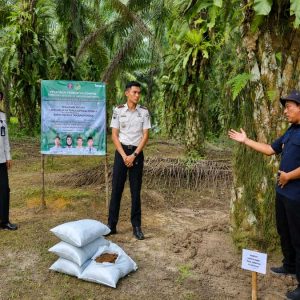 Kompos-FABA-Diuji InfoSAWIT