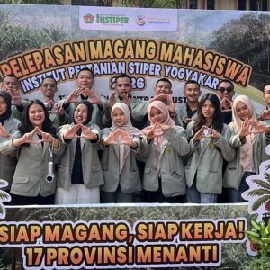 InfoSAWIT