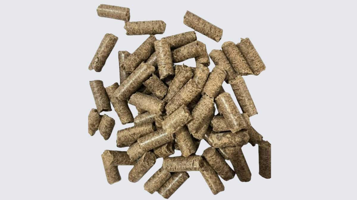 Pallet-Sawit-dari-TKKS InfoSAWIT