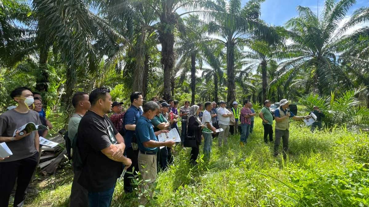 Peatihan-GAP-CPOPC-di-Malaysia InfoSAWIT