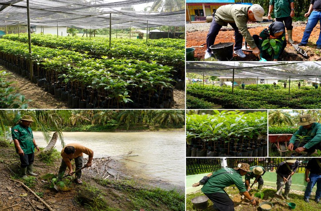 Petani Sawit Tanam 5 Ribu Pohon, Fortasbi dan Pesatri Bangun Benteng Hijau Aceh Tamiang InfoSAWIT