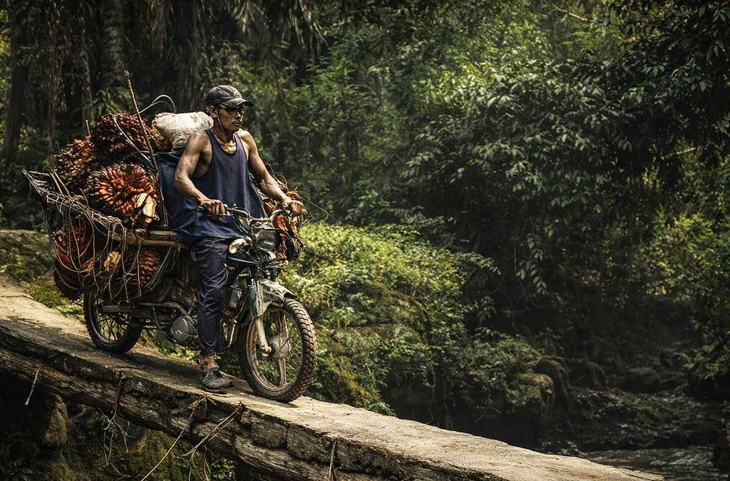 TBS-Sawit-petani-melintas-jembatan InfoSAWIT