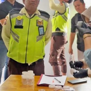 InfoSAWIT