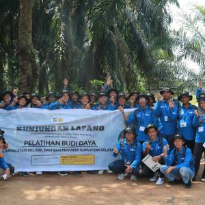 InfoSAWIT