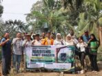 InfoSAWIT