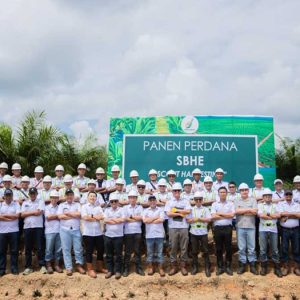 InfoSAWIT