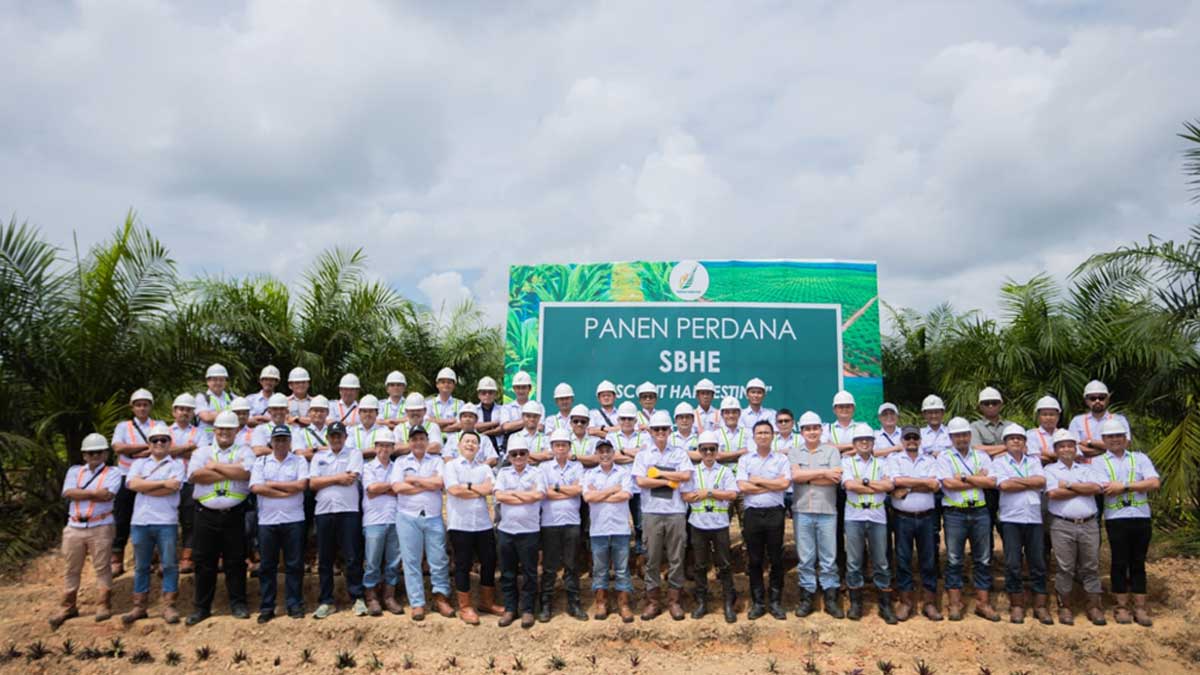 InfoSAWIT