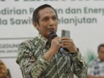 InfoSAWIT