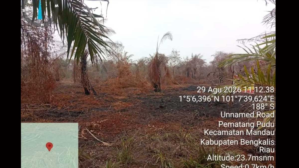 InfoSAWIT