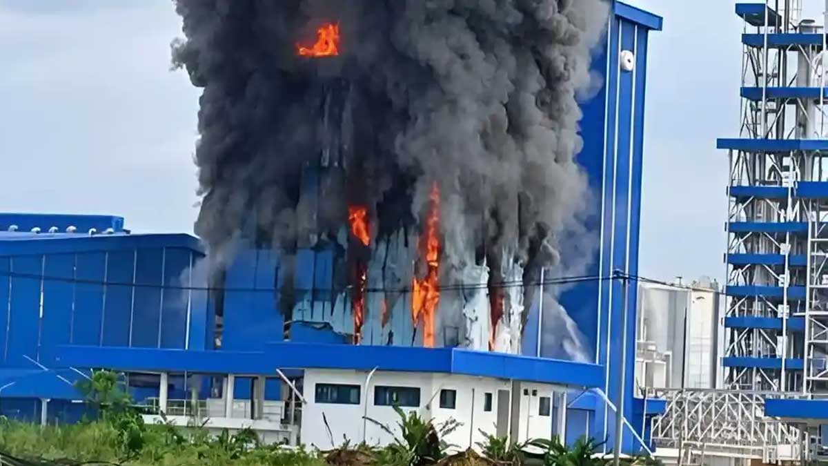 Pabrik-Sabun-Evayp-Turki-terbakar InfoSAWIT