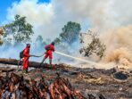 Pencegahan-kebakaran-hutan-dan-lahan InfoSAWIT