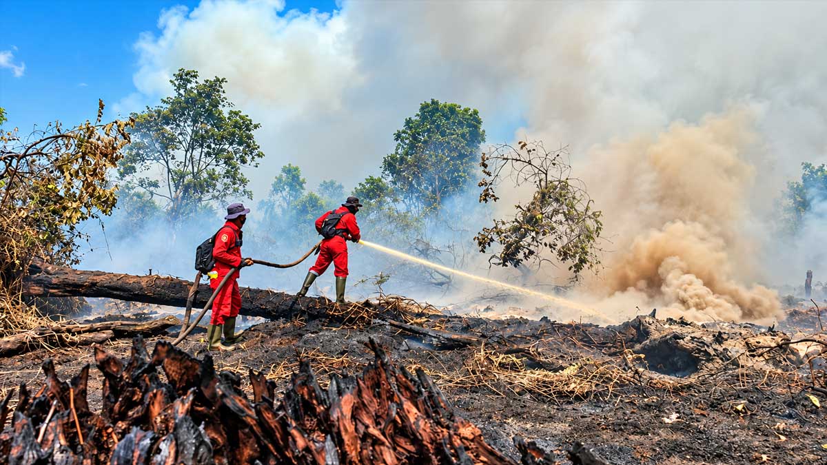 Pencegahan-kebakaran-hutan-dan-lahan InfoSAWIT