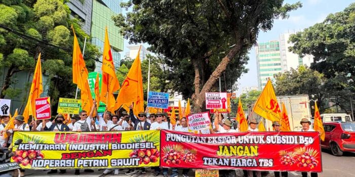InfoSAWIT