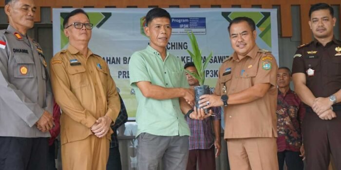 InfoSAWIT