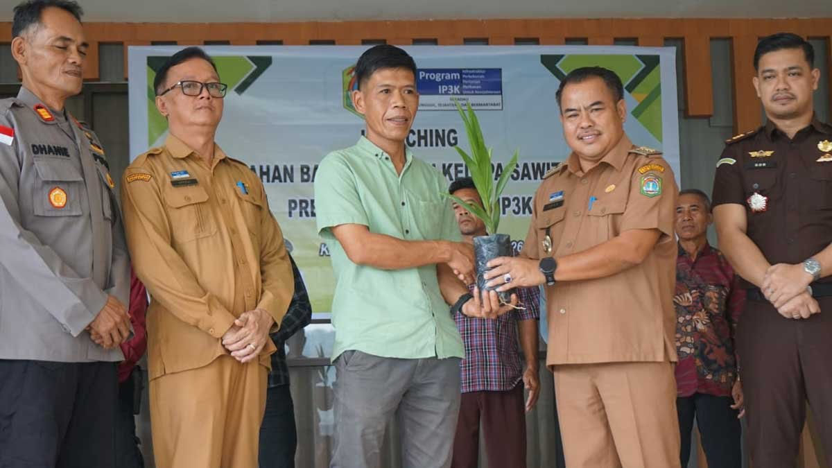 InfoSAWIT