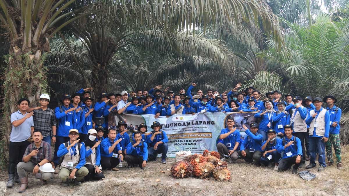 InfoSAWIT