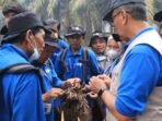 InfoSAWIT