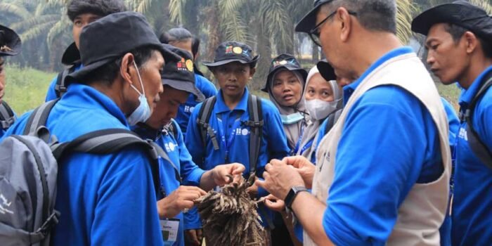 InfoSAWIT