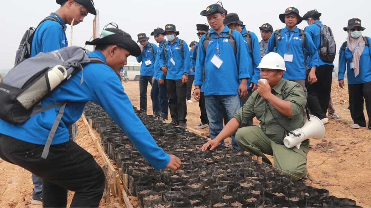 InfoSAWIT