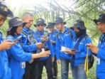 InfoSAWIT