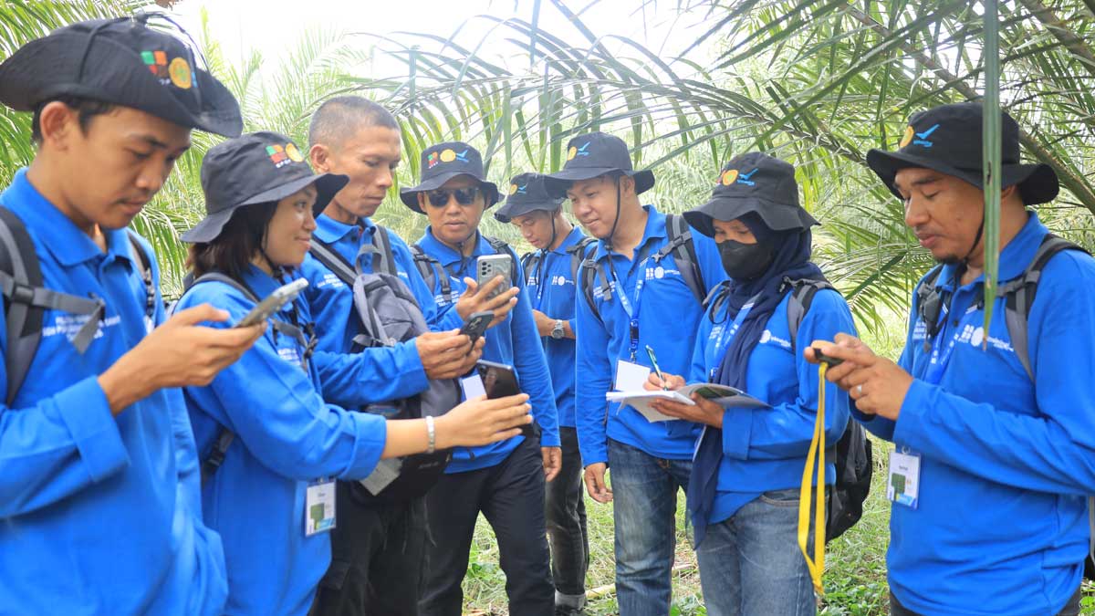 InfoSAWIT