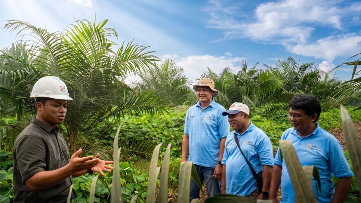 Sinar-Mas-Kemitraan-Sawit InfoSAWIT